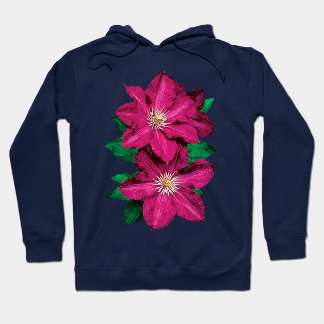 Clematis - Closeup of Magenta Clematis Hoodie by SusanSavad